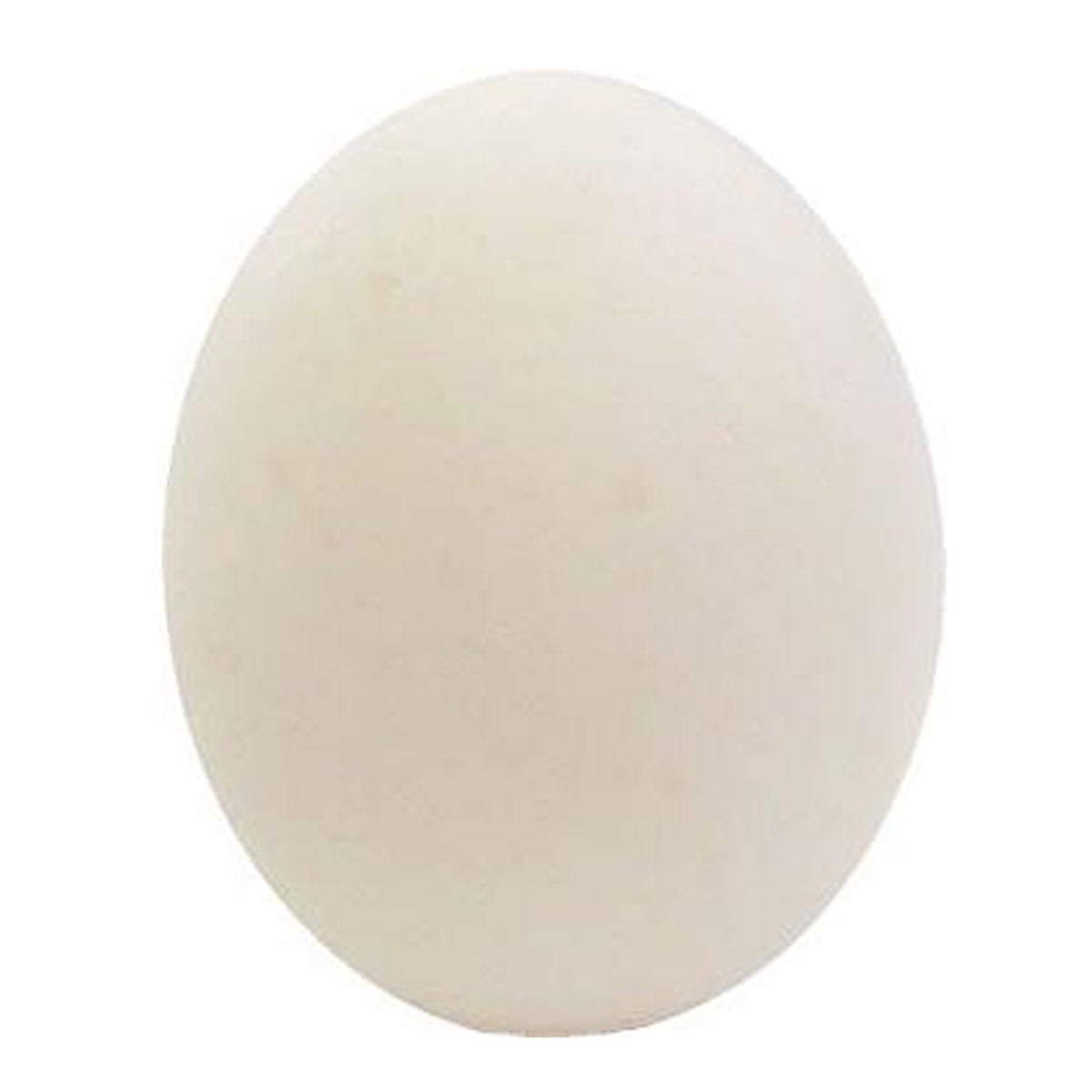 菜の花たまご アスタキサンチン卵 業務用 白玉M～Lサイズ 〔10kg(150～164個前後)〕 鶏卵