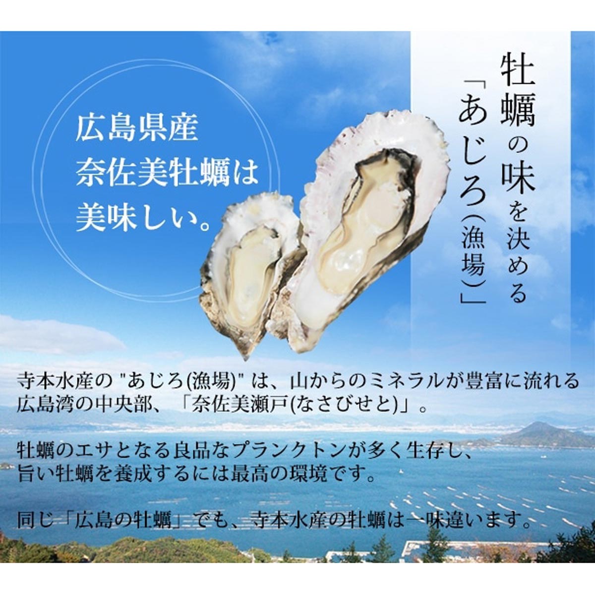 鍛え牡蠣 カンカン焼き冷凍 加熱用 〔15個×2〕 冷凍生牡蠣