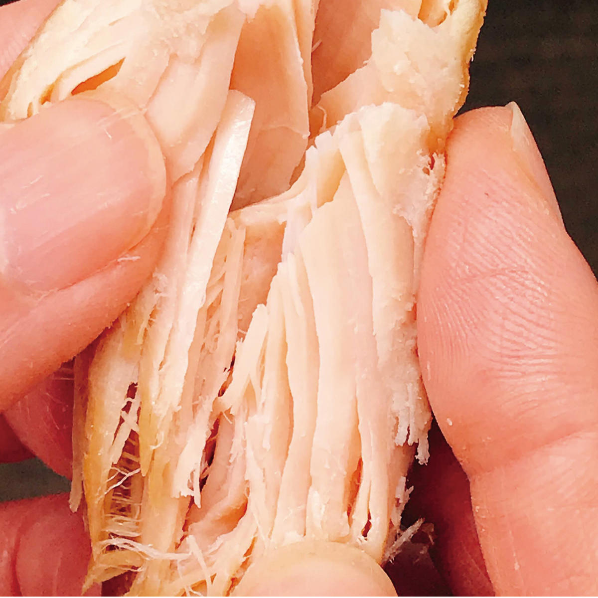 宮崎産 鶏ささみ 燻製 黒胡椒 〔28g×10〕 くんせい おつまみ