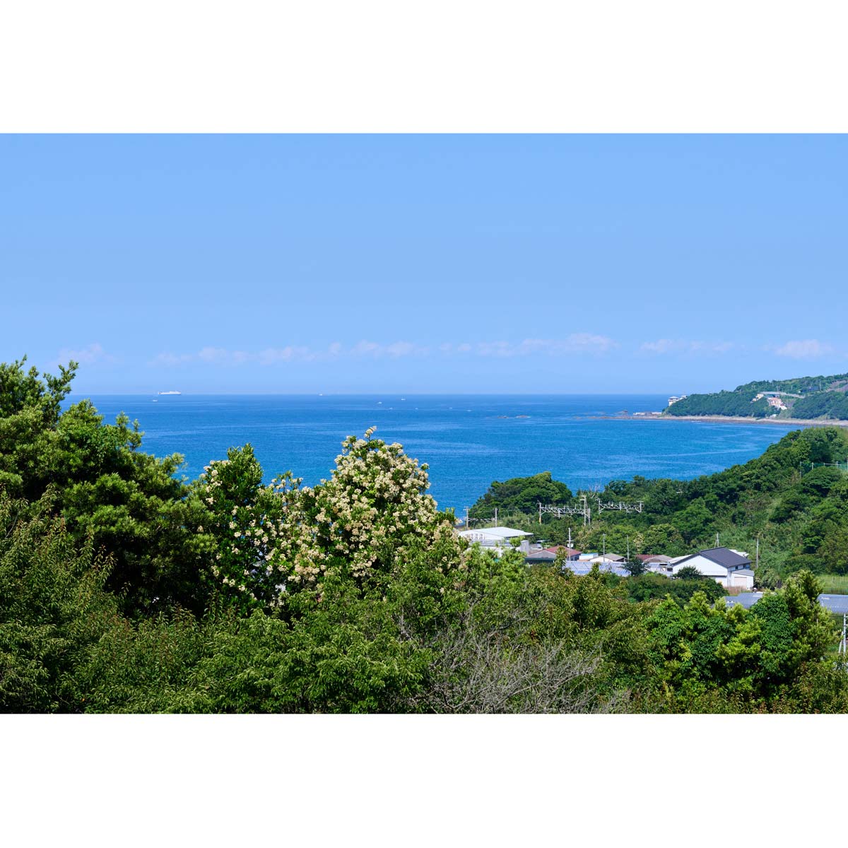 Plumity Black 熟成 南高 梅酒 〔720ml〕 果実酒 リキュール