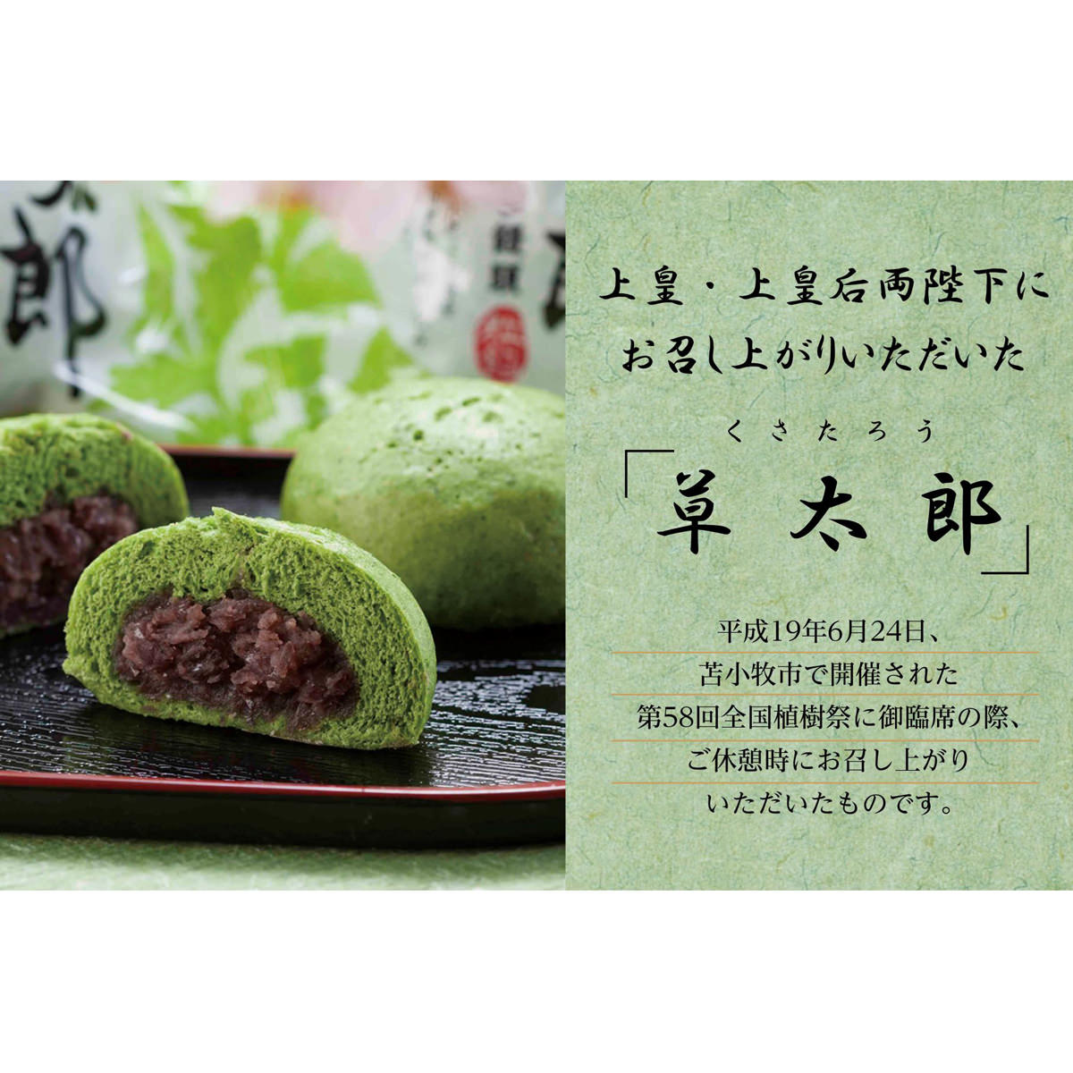 北海道 よもぎ饅頭 草太郎 〔(53g×6個)×2箱〕 まんじゅう 和菓子