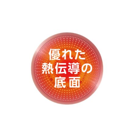 T-fal ティファール クランベリーレッド フライパン 20cm B55902 ガス火