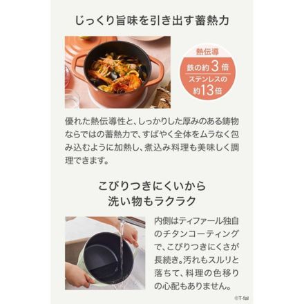 T-fal ティファール キャストライン エアココット IHココット鍋 20cm テラコッタ E26844