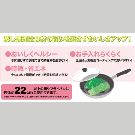 ウルシヤマ金属 UMIC スチームプレート 日本製 10086