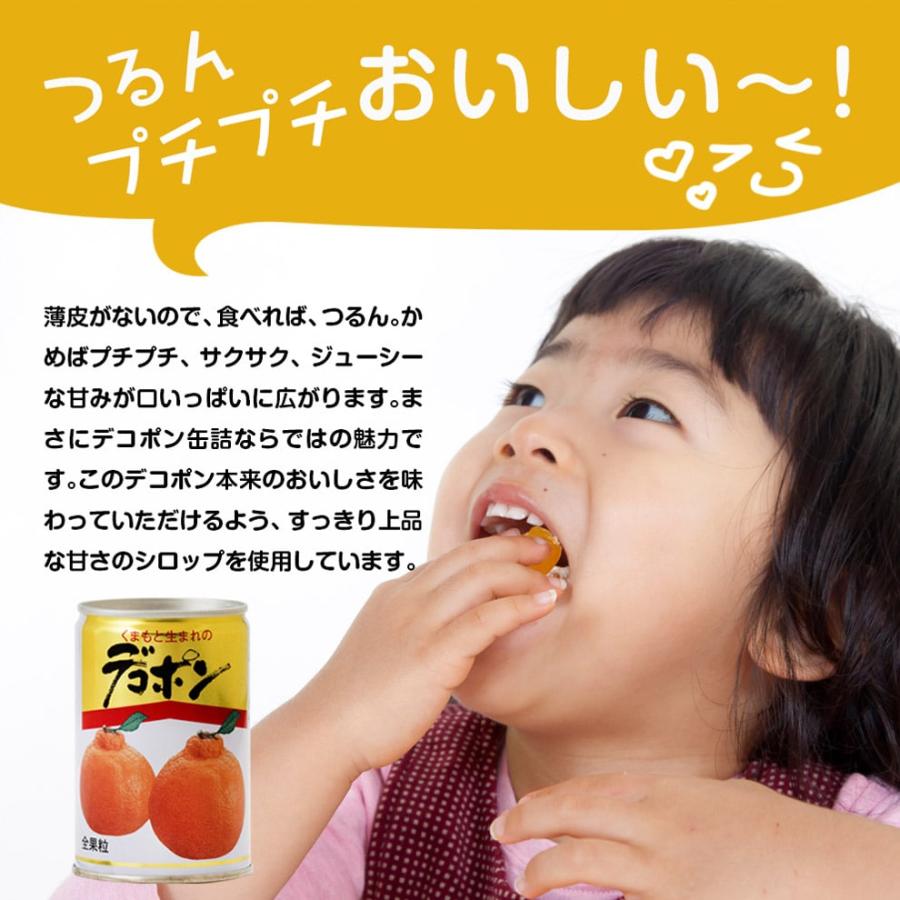 くまもとの果樹園 熊本県産デコポン缶詰 300g×10 D-30