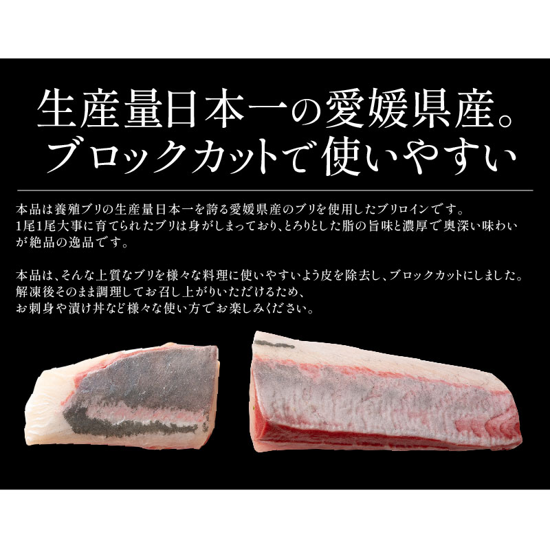 愛媛県産 ぶり ブロック お刺身 ブリロイン 1kg