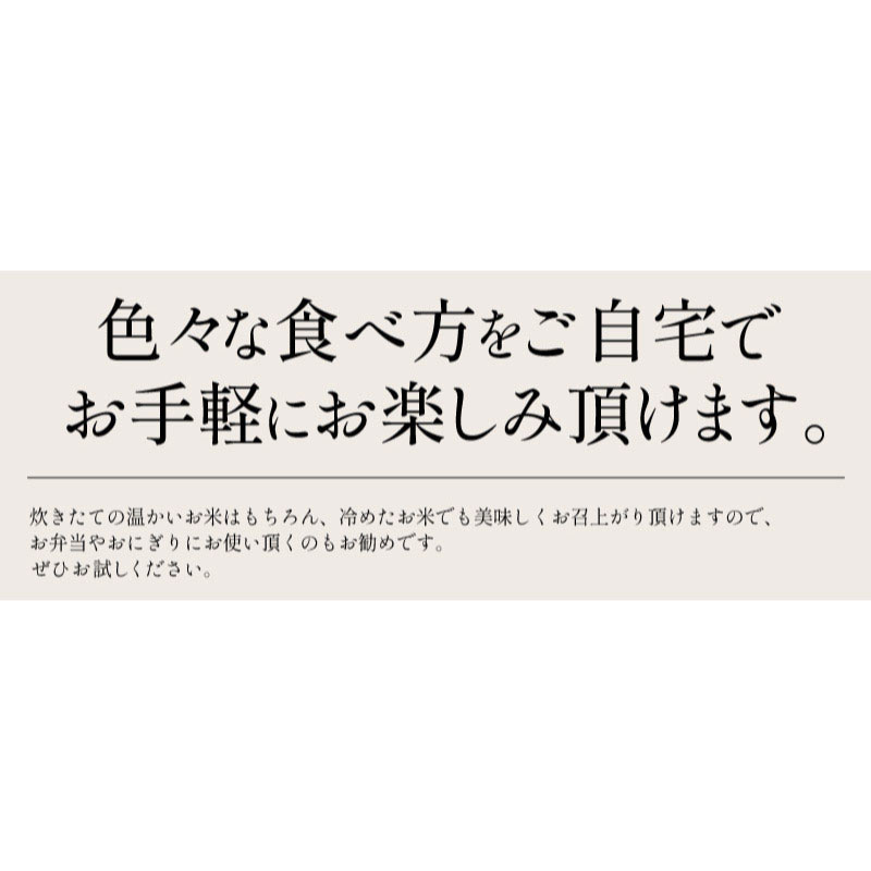 新米 福井県産 花越前 コシヒカリ ブレンド米 10kg 令和6年産