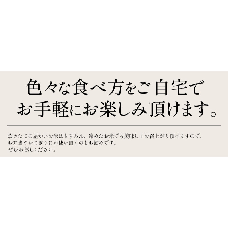 新米 福井県産 いちほまれ 10kg 令和6年産