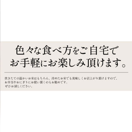 新米 福井県産 コシヒカリ 5kg 令和6年産