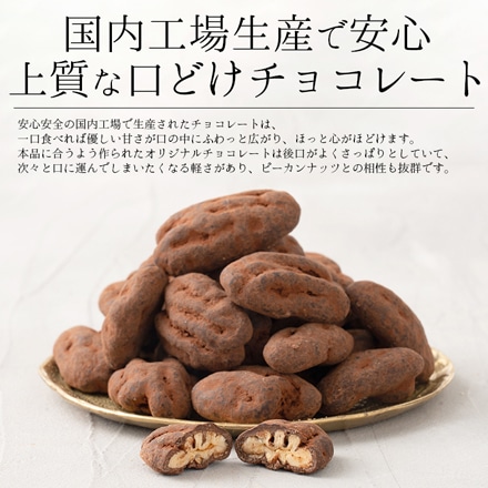 ピーカンナッツ チョコレート 100g（1袋） キャラメル掛け