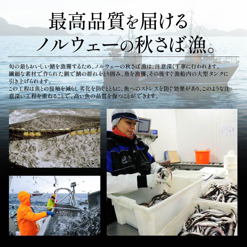 骨取り・骨ありが選べる 鯖の切り身 約1kg(骨取り)