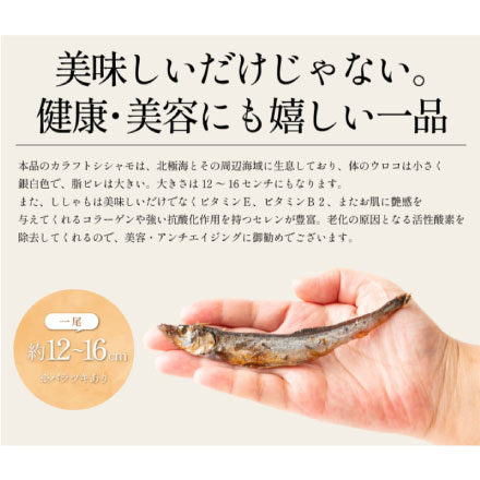 ししゃも シシャモ 燻製 150g おつまみ カラフトシシャモ プレゼント ギフト