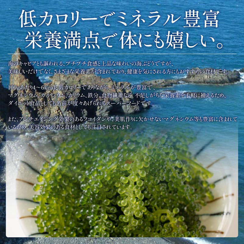 沖縄県産海ぶどう50ｇ×1袋