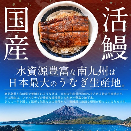 父の日 ギフト 2023金賞受賞 国産 うなぎ 蒲焼き 無頭 特大サイズ （200g前後×2尾） 化粧箱