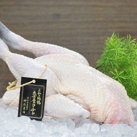 国産 地鶏 三和の純鶏名古屋コーチン丸鶏中抜き 1.6kg