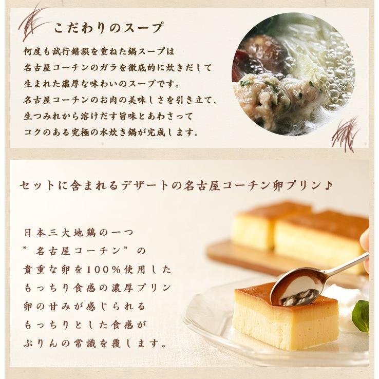 三和の純鶏名古屋コーチン水炊き鍋・ぷりんセット(TCN-I)