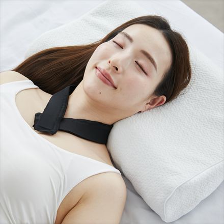 ヒツジのいらない枕 -至極-専用テンセル枕カバー HT-001C