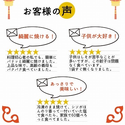 ニンニク控えめ 餃子 30個 パリッと香ばしい しその風味香る とり餃子