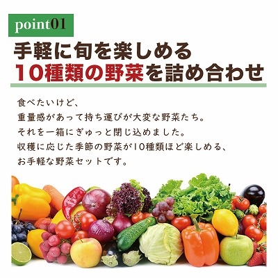 お任せ 野菜セット 約10種 旬のお野菜を楽しめる詰め合わせ