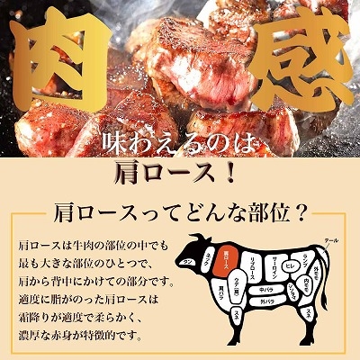 牛肩ロース ステーキ ひとくち大サイズ 500g 訳あり ステーキスパイス付 大容量 サイズ 不揃い 訳あり肉 牛肉 牛肩ロース 業務用 焼肉 BBQ バーベキュー おかず 肉