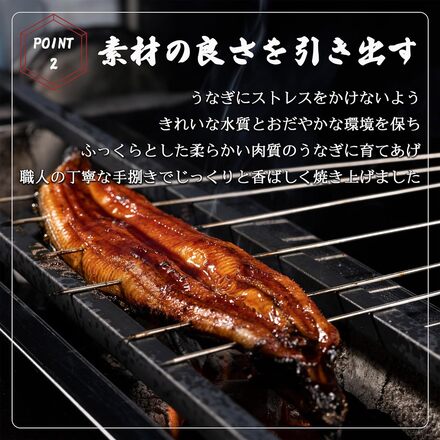 うなぎ 蒲焼き お中元 2026 ギフト【 超特大サイズ 4尾 】 約1kg 簡易包装
