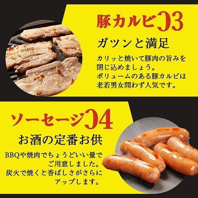 焼肉 BBQ セット 4種盛り 500g 約2人前 ハラミ カルビ ウィンナー