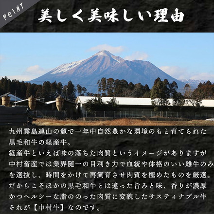 黒毛和牛 薄切り ロース 500g 九州 中村牛 大判 薄切り