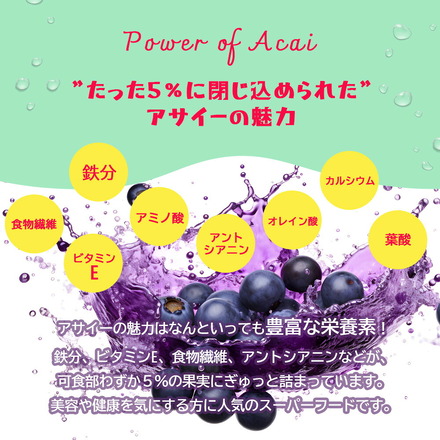 アサイー 冷凍 ピューレ 加糖 500g (100g×5袋 )