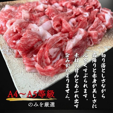 鹿児島黒牛 鹿児島牛 切り落とし 1kg (500g×2パック) 大容量 牛肉 国産