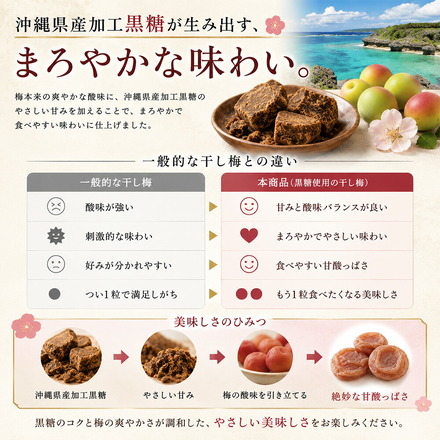 沖縄県産 加工黒糖使用 しっとり 種なし 干し梅 200g 個包装