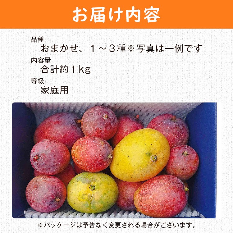 ミニマンゴー 1kg 沖縄県産 1ー3種程度 ご家庭用 マンゴー 冷蔵便 同梱不可 指定日不可