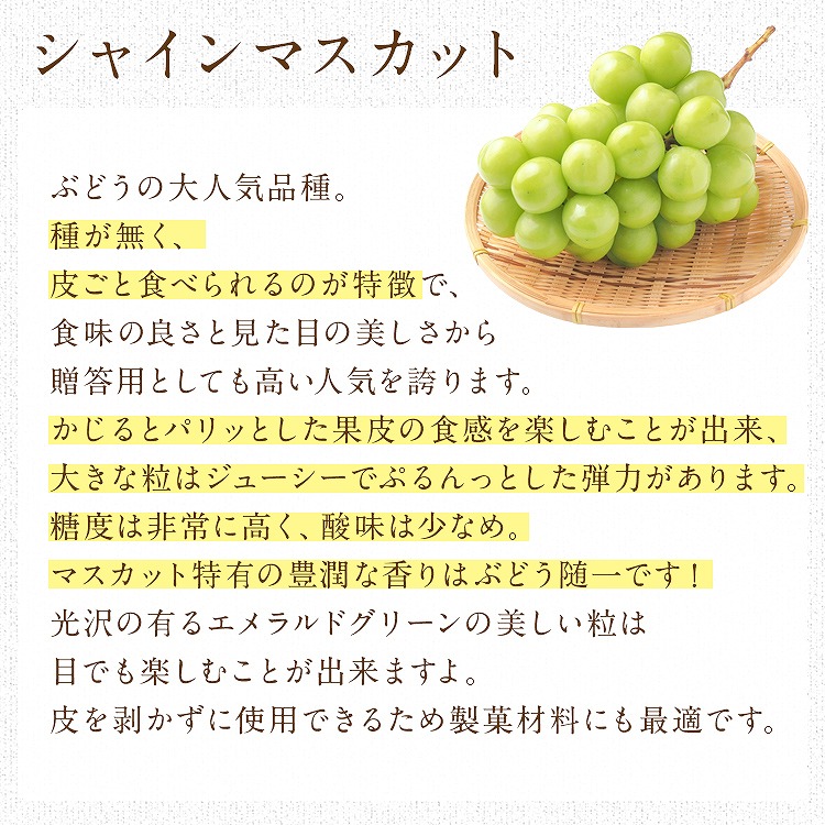 ぶどう ギフト 3種詰め合わせ 3房(1房×3種) 1.2kg シャインマスカット ナガノパープル ピオーネ 秀 産地厳選 贈答用 冷蔵便 同梱不可 指定日不可