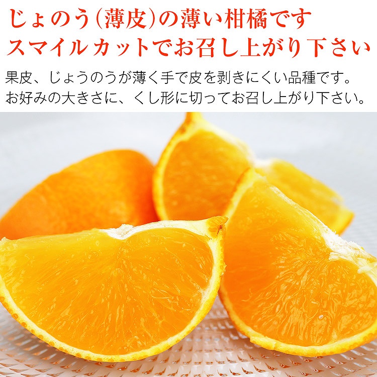 紅まどんな 5kg 愛媛県産 ご家庭用 17ー31玉程度 Mー3Lサイズおまかせ 良品以上 みかん JAえひめ中央 常温便 同梱不可 指定日不可 ミカン 蜜柑 柑橘