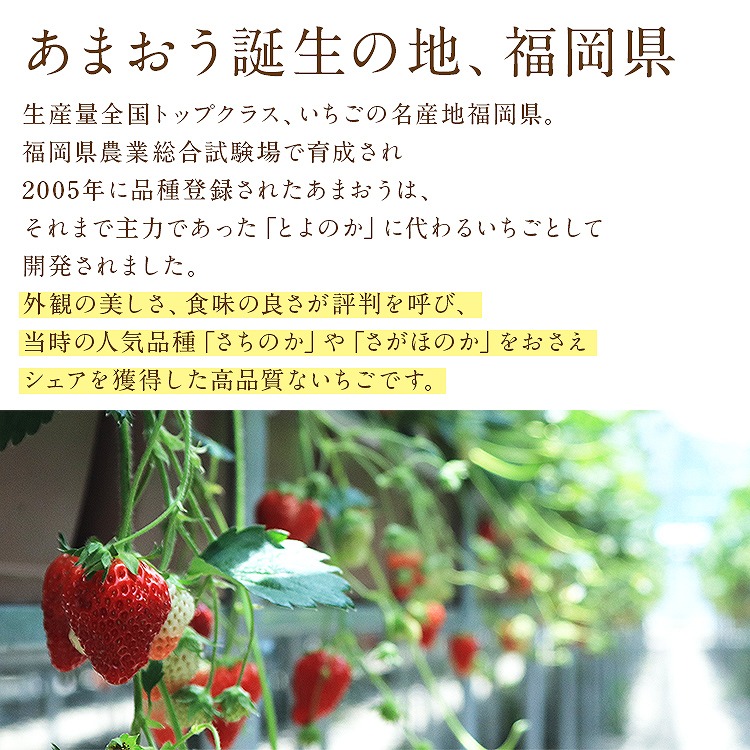 あまおう いちご 福岡 ご家庭用 G 4パック 約1kg (1パック約260g) 博多あまおう 冷蔵便 同梱不可 指定日不可