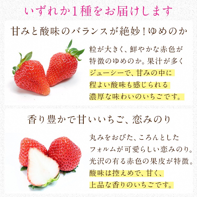 長崎いちご 長崎県産 4パック 960g (1パック240g) ゆめのか 恋みのり 品種おまかせ 秀品 冷蔵便 同梱不可 指定日不可