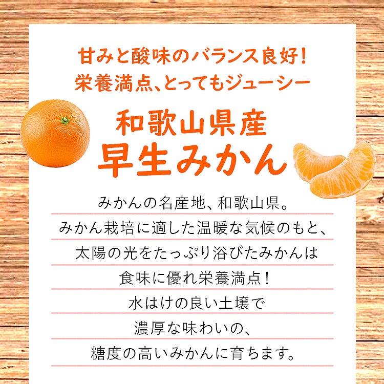 訳あり みかん 6.3kg (6kg+保証分300g程度) 3kgx2箱セット 和歌山県産 早生みかん 温州みかん ミカン 蜜柑 柑橘 わけあり 常温便 同梱不可 指定日不可
