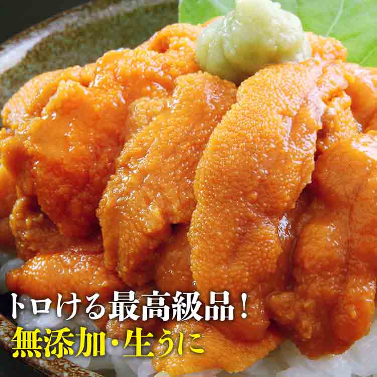 無添加 生うに 200g いくら 250g 食べ比べセット