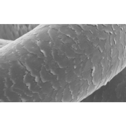 MTG ReFa BEAUTECH STRAIGHT IRON R RE-BM-02A 当店限定2年保証付