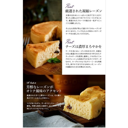 ホシフルーツ 大人のチーズケーキ HFOC-001