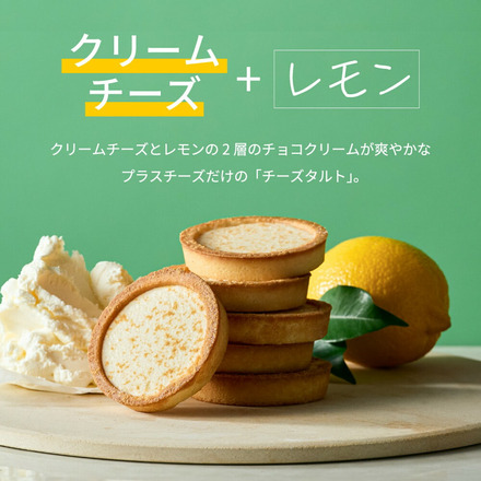 +Cheese プラスチーズ それはおいしい方程式！ 11個入り （チーズサンド6個とチーズタルト5個）