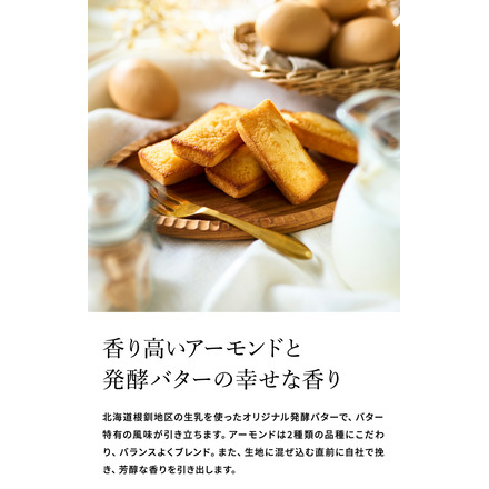 アンリ・シャルパンティエ フィナンシェ 8個入 折りたたみ保冷バッグ付きギフトセット