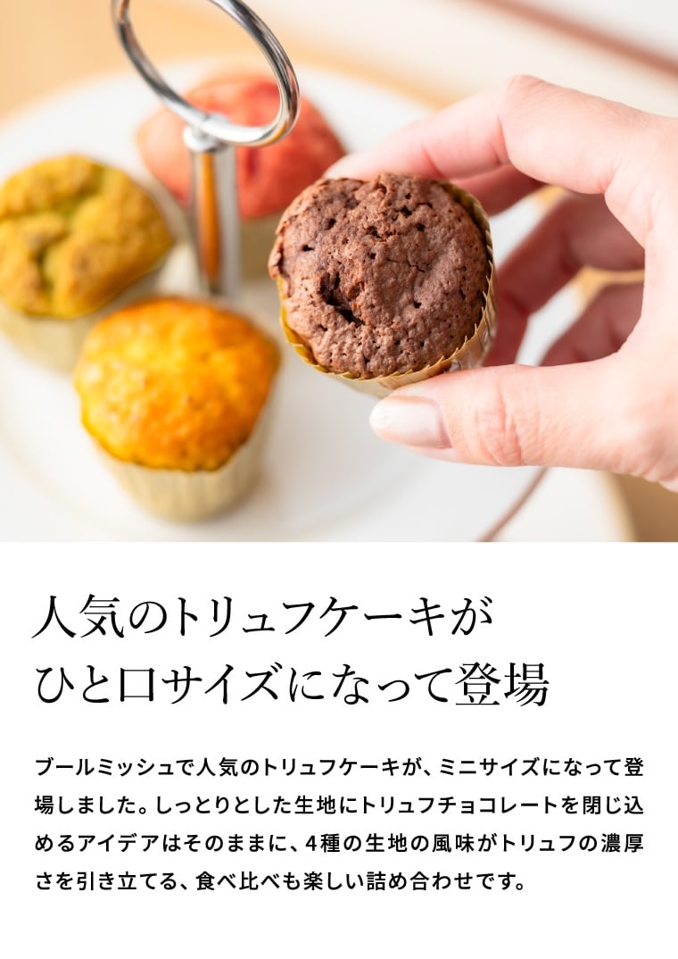 ブールミッシュ BOULMICH ミニトリュフケーキ 16個入 MTF-C / スイーツ 個包装 洋菓子 焼菓子