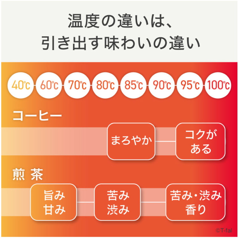 ティファール T-fal 電気ケトル カフェ ロック コントロール 0.8L KO9208JP