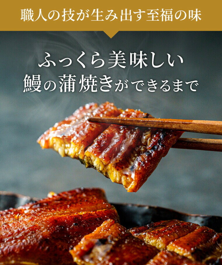 酒類 選べるビールとうなぎ セット 軽井沢ビール2本 ゾウのマイ2本 家飲みセット