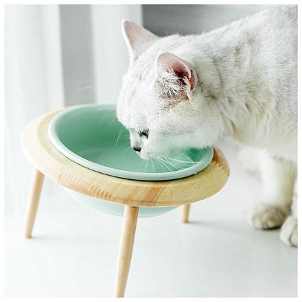 犬猫用食器 in600 オレンジ