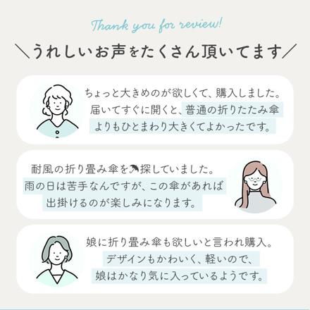 amusant sous la pluie 耐風折りたたみ傘 55cm 26790.リボンストライプ スカイ