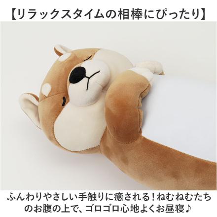 おやすみクールピロウ サメ/くるり