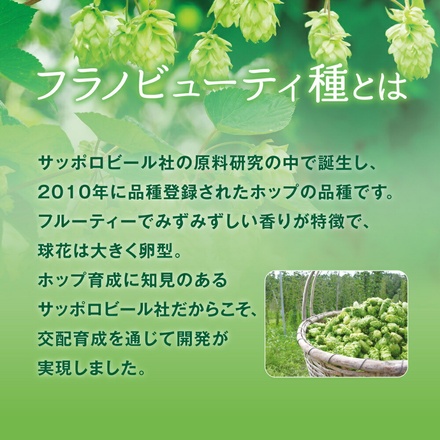 ポッカサッポロ 北海道 富良野 ホップ 炭酸水 500mlペットボトル×24本入|炭酸 ソーダ 割り材 北海道富良野