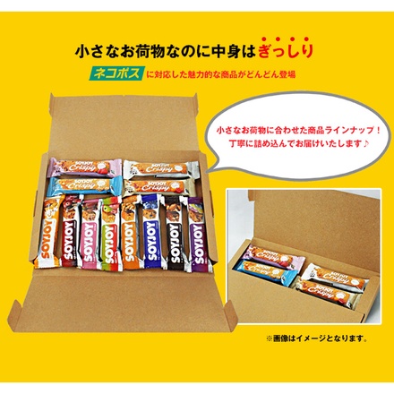 ネコポス 森永製菓 inバーマルチミネラル ココア ×12本入| 全国inバー プロテイン ココア バー 栄養補給 高タンパク スポーツ 栄養 おやつ