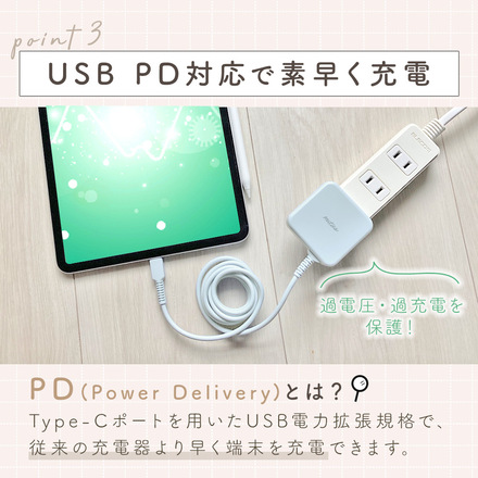 mitas Type-C 充電器 急速充電 20W USB PD対応 ペールブルー EJ-PD20USB-PB